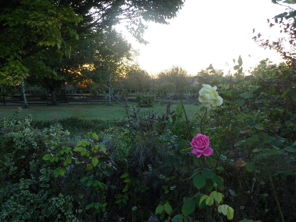 La Lunaire Bed and Breakfast Verteillac Buitenkant foto